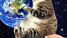 Why Weekends Go By So Fast 😸😸😸