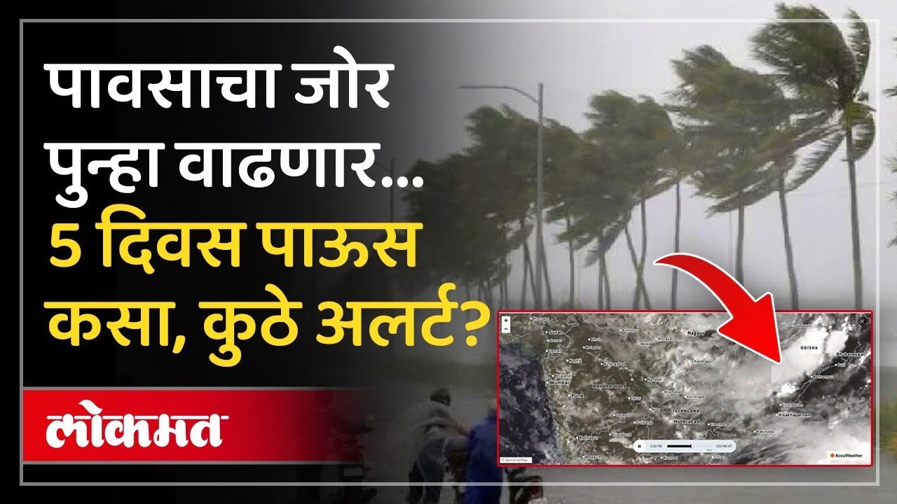 राज्यात पाऊस पुन्हा जोर धरणार, 15 ऑगस्टपर्यंत काय अंदाज? | Maharashtra Rain | Maharashtra Weather
