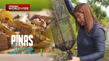 Panghuhuli ng isdang biya sa Pantabangan, Nueva Ecija, sinubukan ni Kara David! | Pinas Sarap