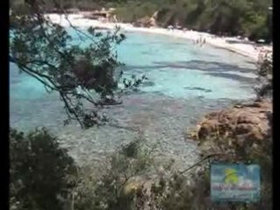 jet ski porticcio location jet en corse rive sud nautique