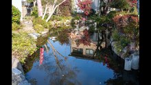 Shinsen-en: A garden originally built for the Emperor, adjacent to Heian Palace