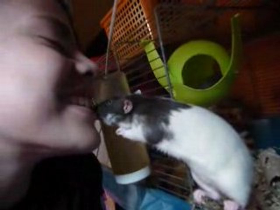 pitchounette la lechouilleuse