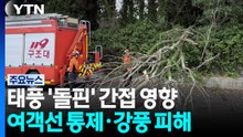 태풍 '돌핀' 간접 영향...여객선 일부 통제·강풍 피해 / YTN