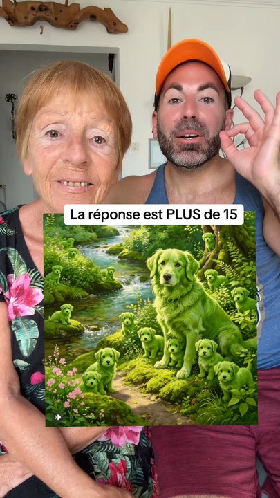 COMBIEN VOIS-TU DE CHIENS 🐶 ?