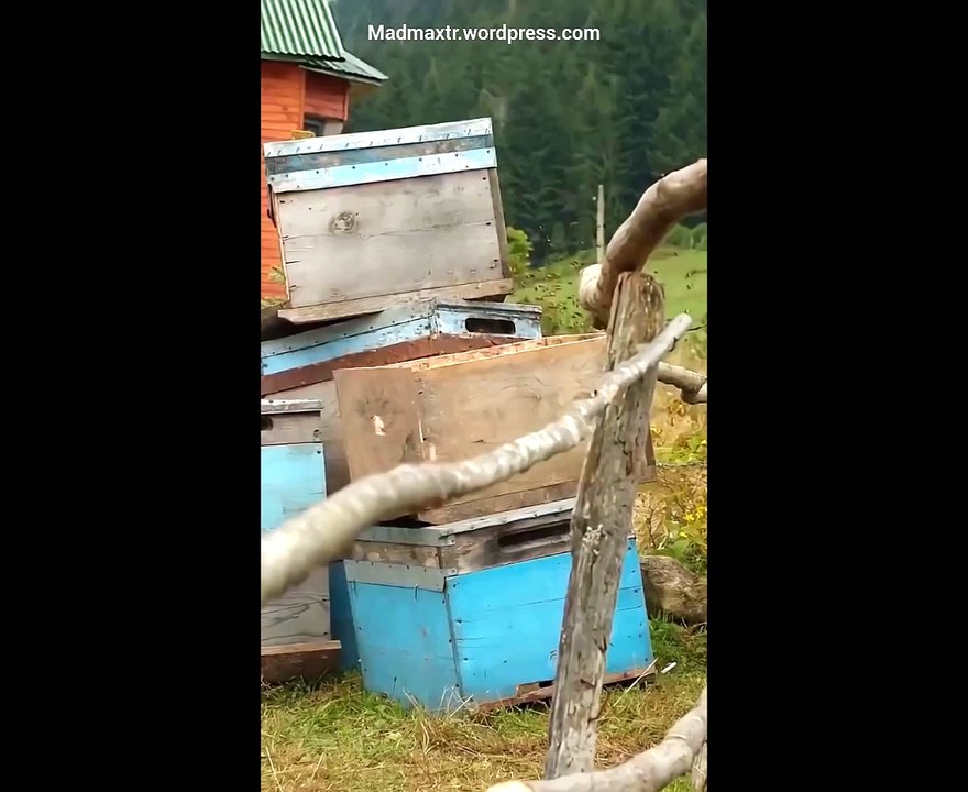Alem Onun aynası Sen ben ise o aynadaki toz zerresi