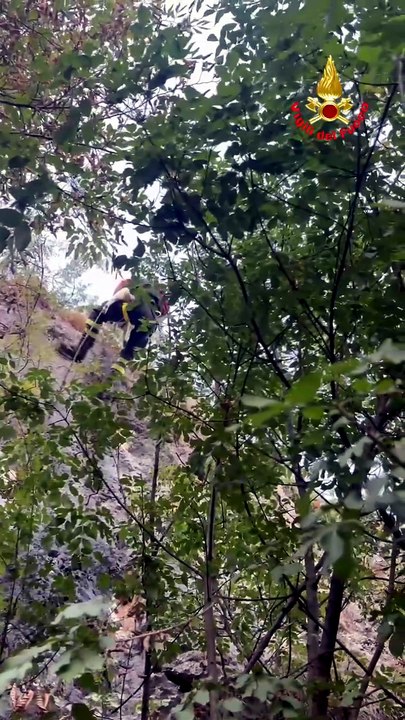 Monte Moregallo, capra un trappola tra le fiamme: la salvano i vigili del fuoco