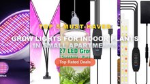 Ultimate Guide to the Best Grow Lights For Indoor Plants In Small Apartments
