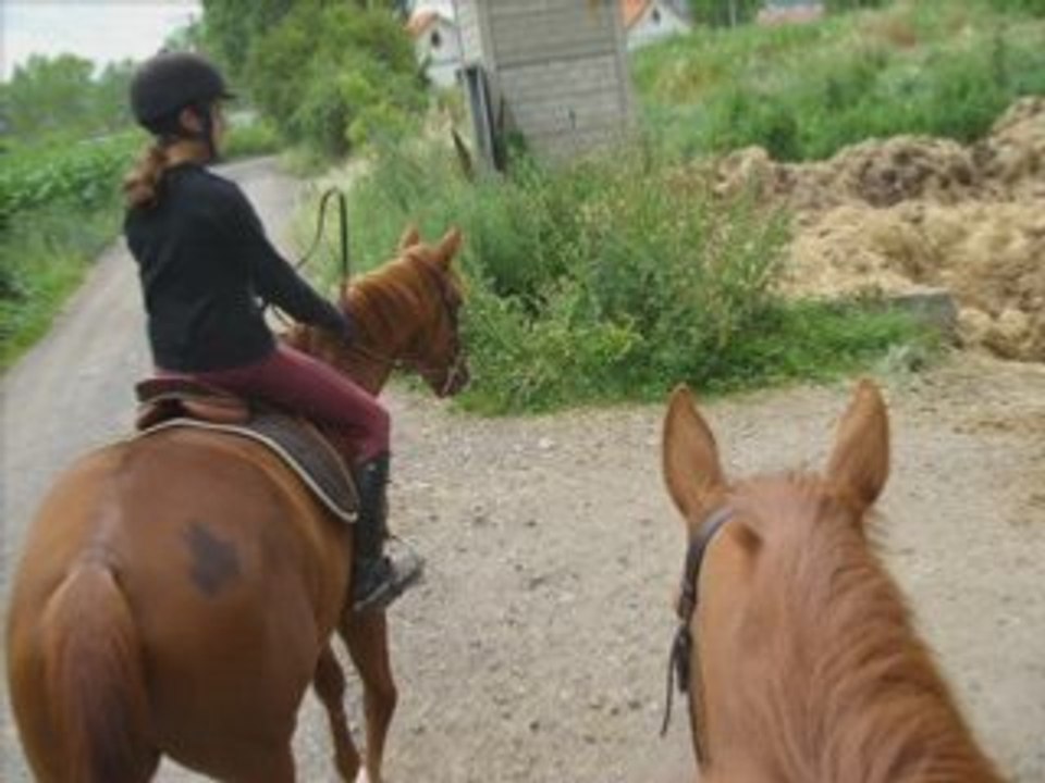 Juju et Clepo a cheval