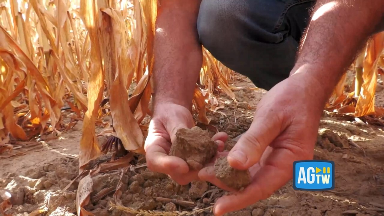 Allarme siccità, gli agricoltori lombardi abbandonano i campi: «Senza acqua dobbiamo scegliere cosa salvare»