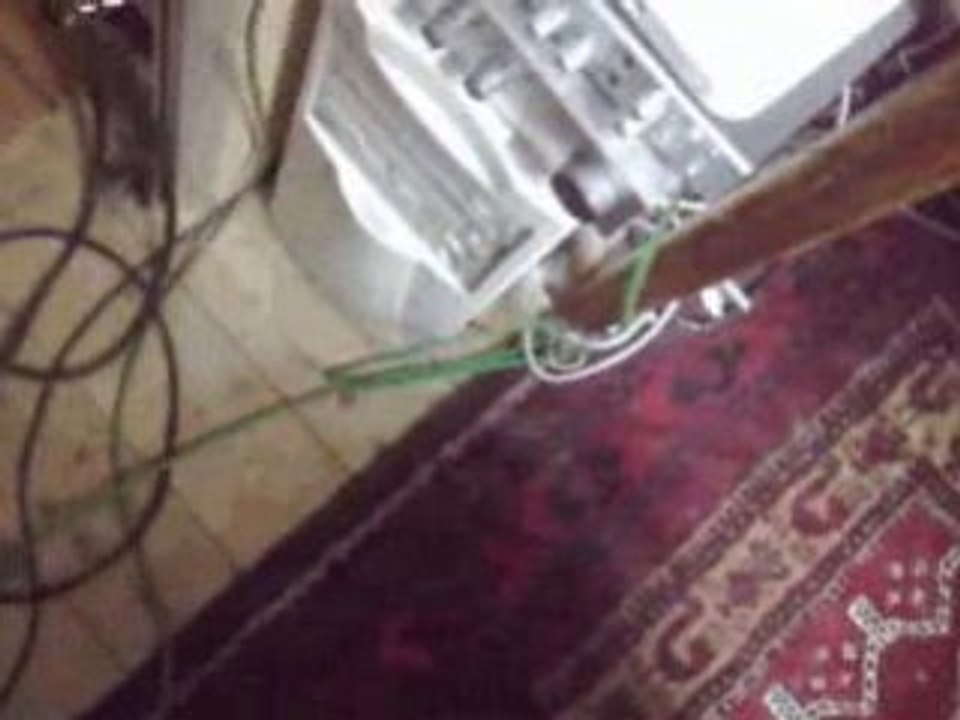 Cuentero die katzenhundin