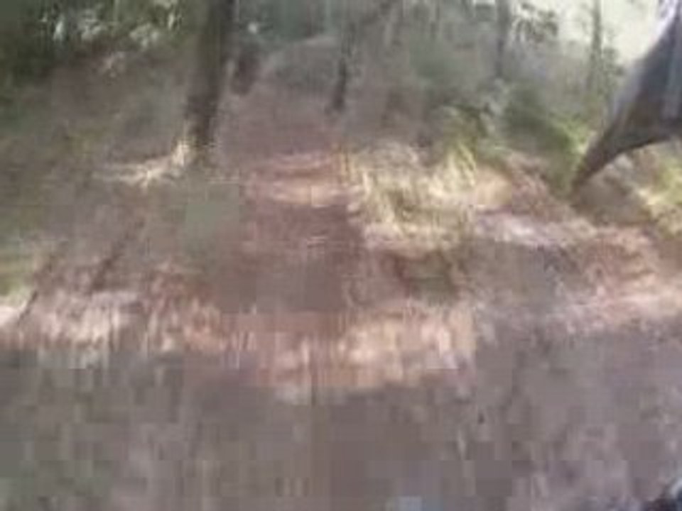 Freedirt