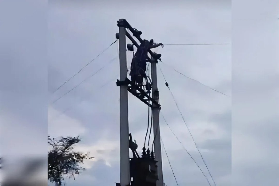 अलवर में ट्रांसफार्मर पर चढ़ी महिला