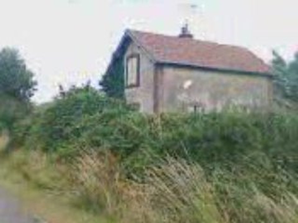 VID004