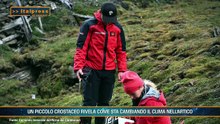 Tg Ambiente - 9/8/2026