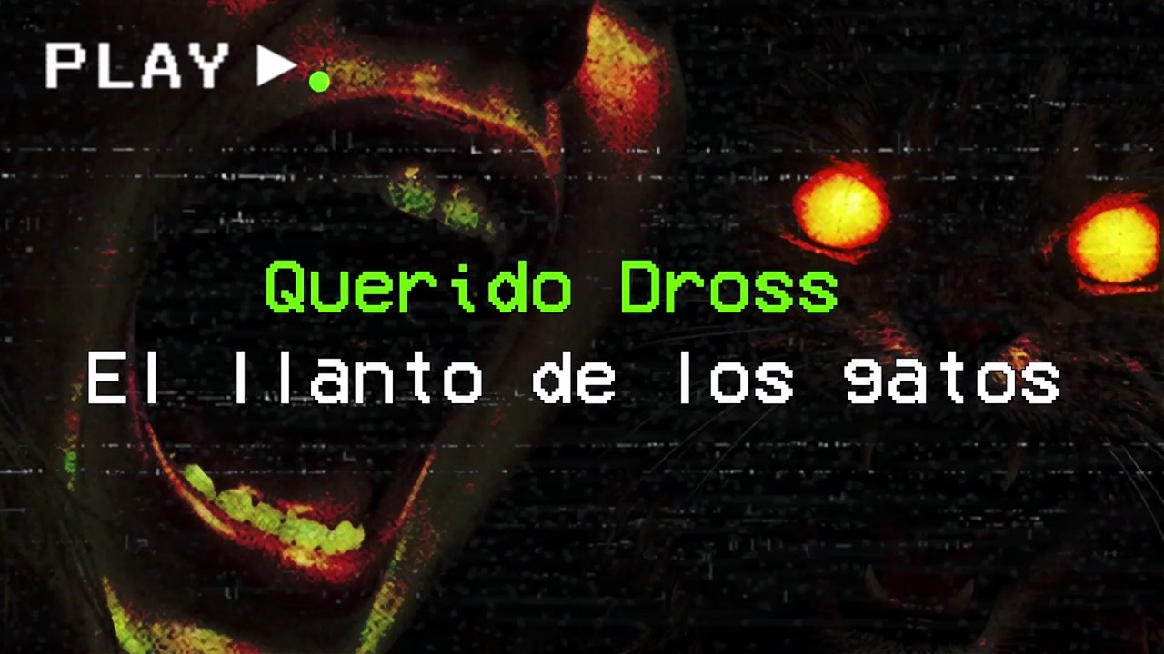 Querido Dross; el llanto de los gatos