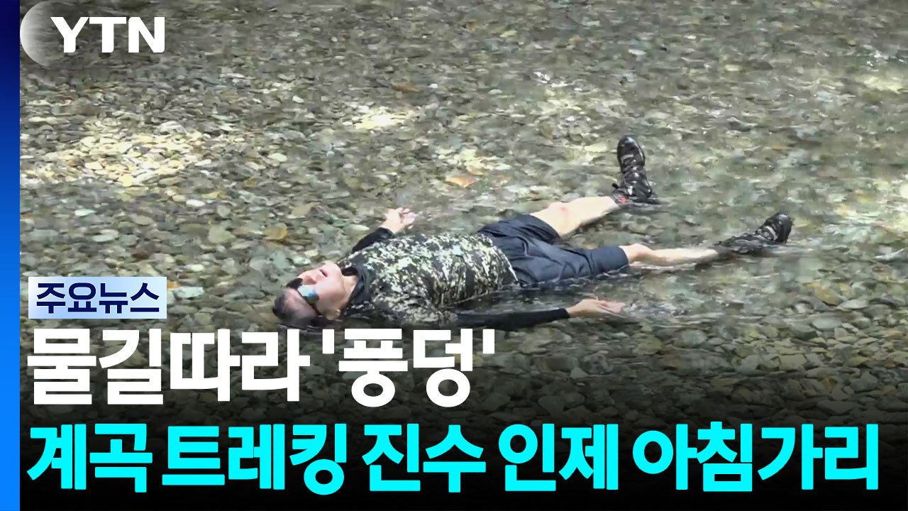 물길따라 '풍덩'...계곡 트레킹 진수 인제 아침가리 / YTN