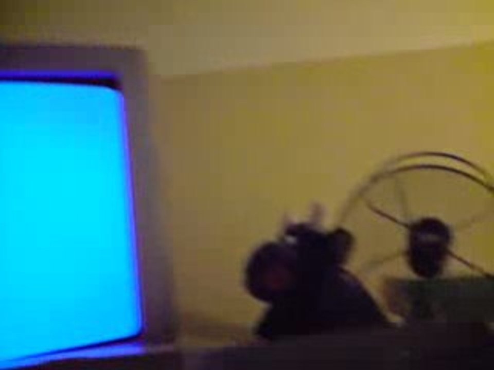 nes special fredyball