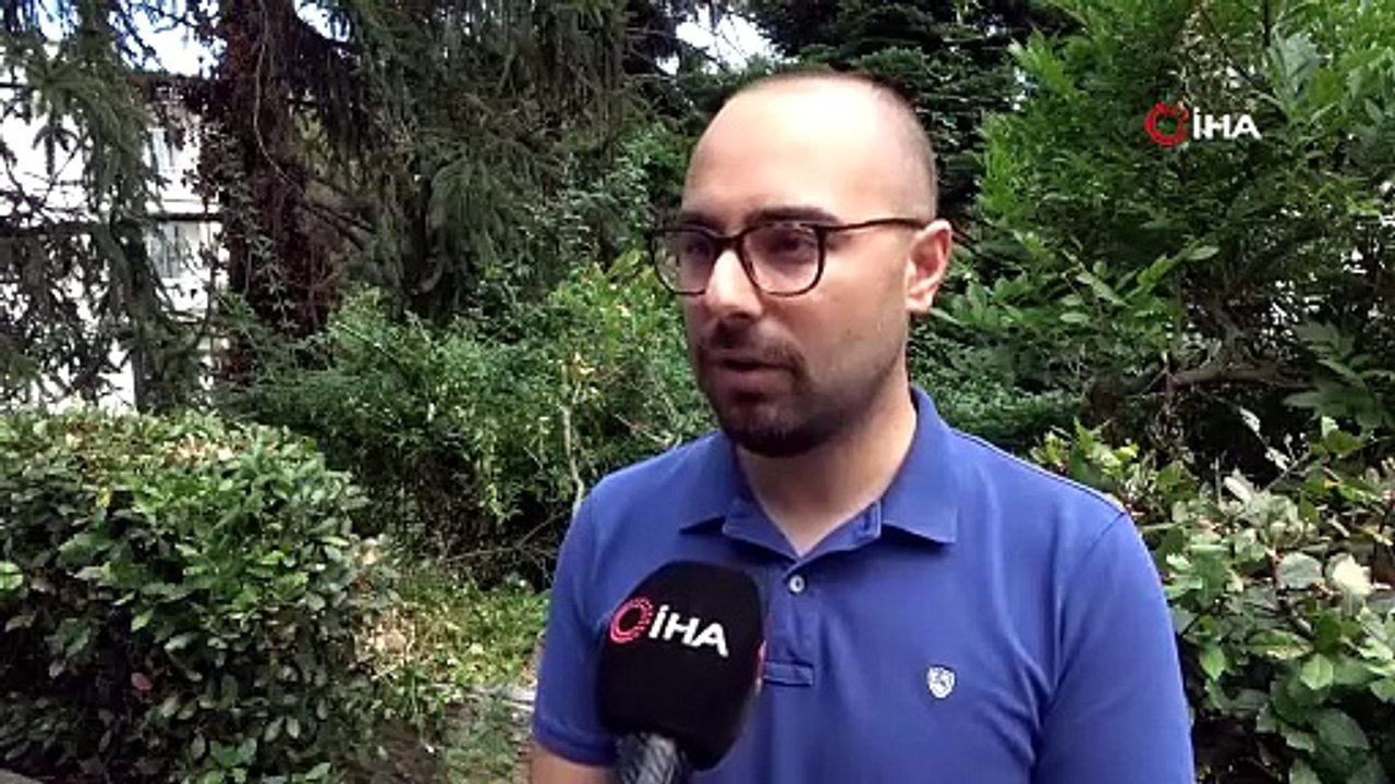 Türkiye'nin yeni istilacısı 'Drakula' bir ilimizde daha görüldü, karantina başladı!