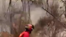 El incendio de Niebla (Huelva) mantiene a cientos de personas desalojadas tras recorrer 8.000 ha