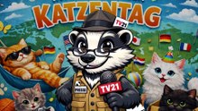 Daxl über’n Weltkatzentag