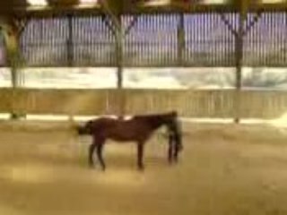 Oscar d'Anbour et Angélique Compant