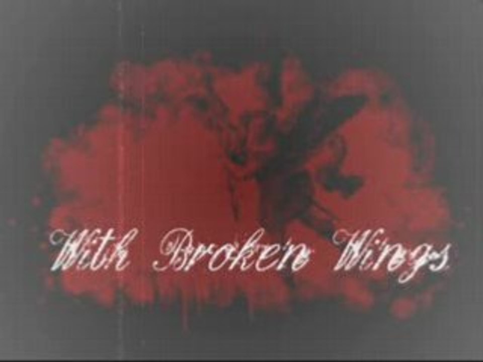 With Broken Wings-The birth of catastrophe