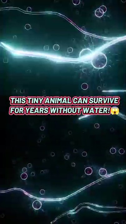 This Animal Can Survive Without Water for Years! 😱