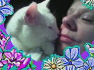 Mes chats juillet 2008