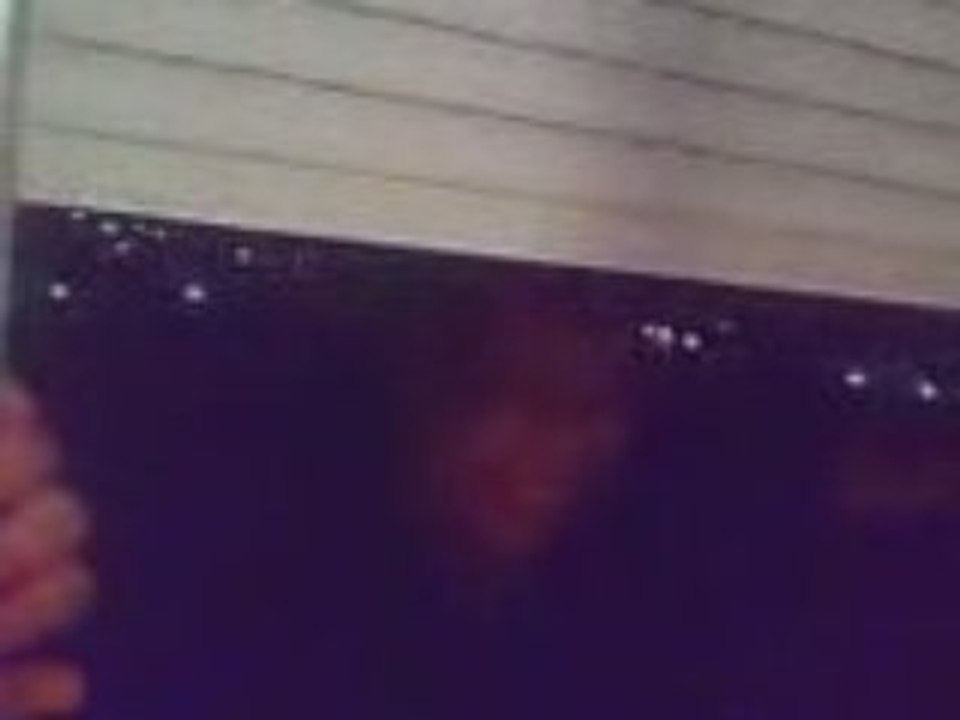 FUGAIN SONG FART