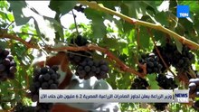 TeN | نشرة أخبار السادسة مساءًا - الاحد 9- أغسطس 2026