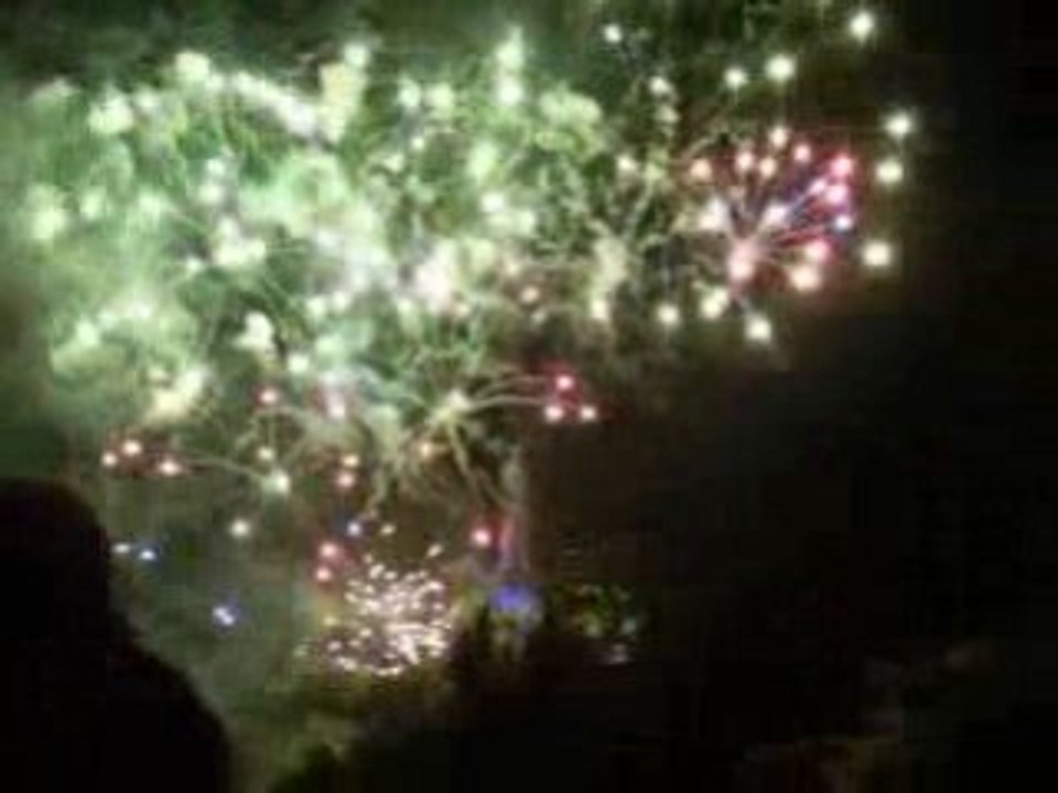 Feu d'artifice 14 juillet 2008 grenoble