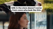 Another Species' Milk || Acharya Prashant