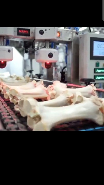 Inside a Modern Food Factory 🤯 | Amazing Industrial Food Processing