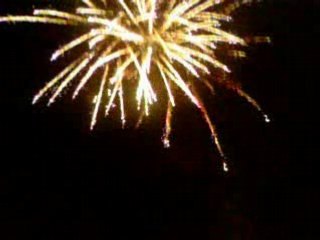 Feu d'artifice de Chauray 2008