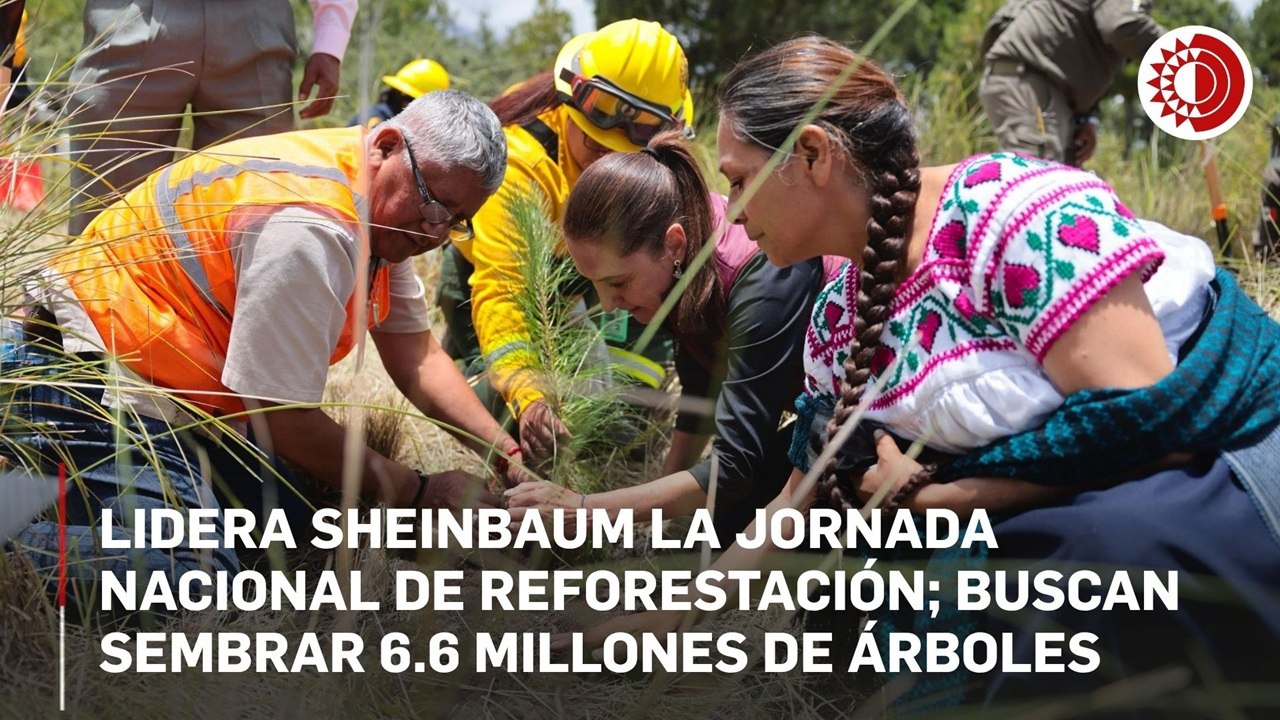 Encabeza Sheinbaum la Jornada Nacional de Reforestación