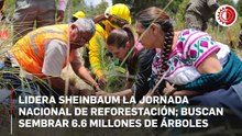 Encabeza Sheinbaum la Jornada Nacional de Reforestación