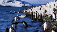 ANTARTICA