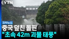 중국 덮친 태풍 돌핀 "초속 42m 괴물 태풍" [자막뉴스]  / YTN