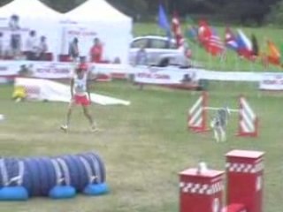 Championnat d'Europe 2008 Artéïs agility indiv