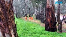Two people rescued from floodwaters in Lockwood South