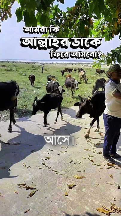 আমরা কি আল্লাহর ডাকে ফিরে আসবো?