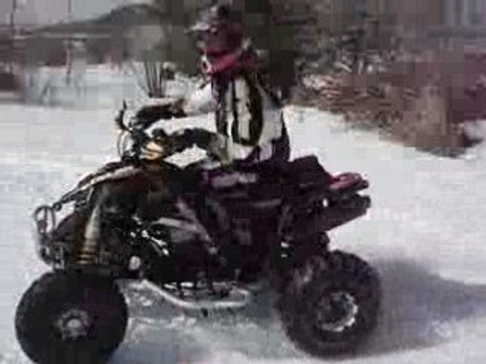 ds 450