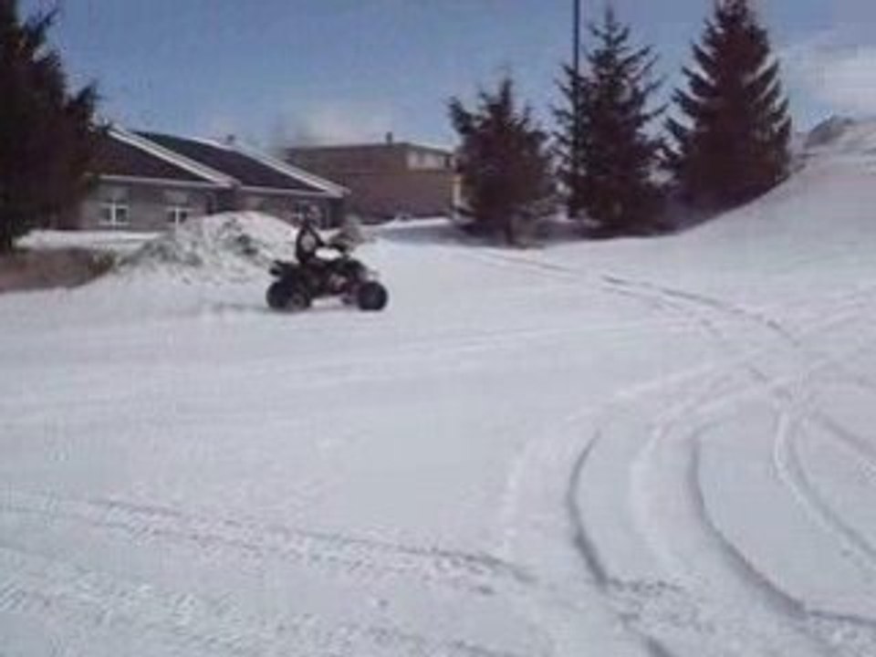 ds 450