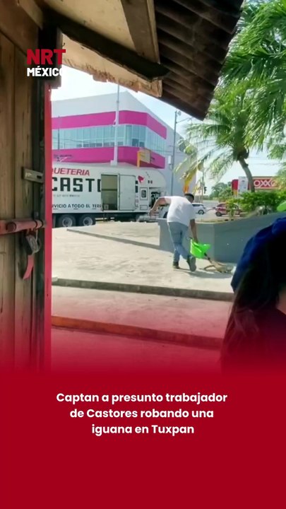 Captan a presunto trabajador de Castores robando una iguana en Tuxpan