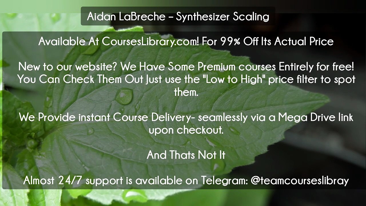 (Courseslibrary.com)Aidan LaBreche – Synthesizer Scaling