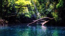 Méditation pour le sommeil profond 🌙 S’endormir rapidement _ Musique relaxante anti stress