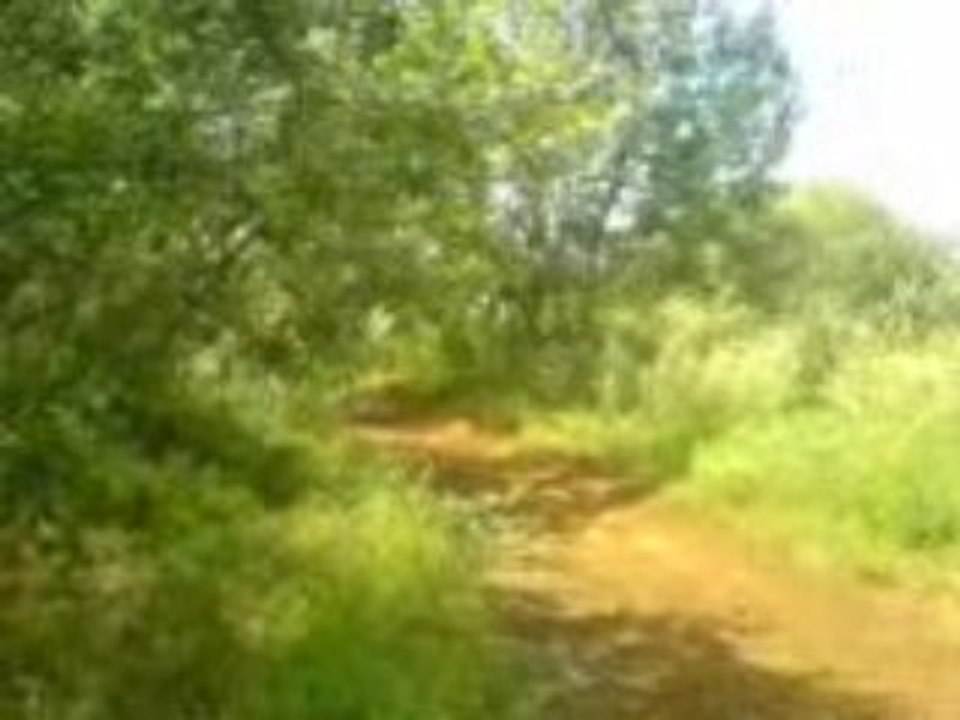 moi en cross