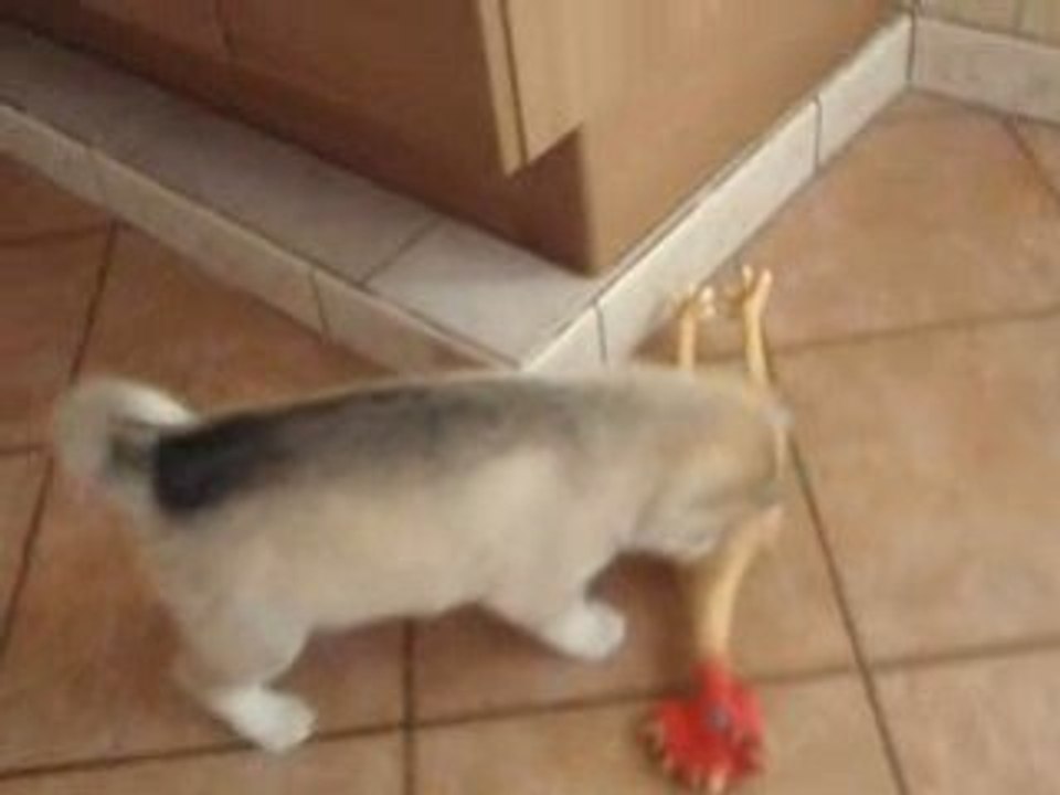 Photo du  nouvel appareil photo 404