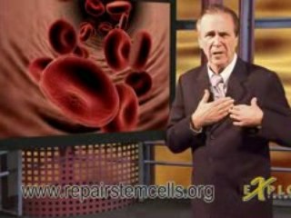 Repair Stem Cells 101 with Don Margolis