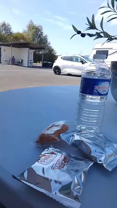 le bon petit déjeuner